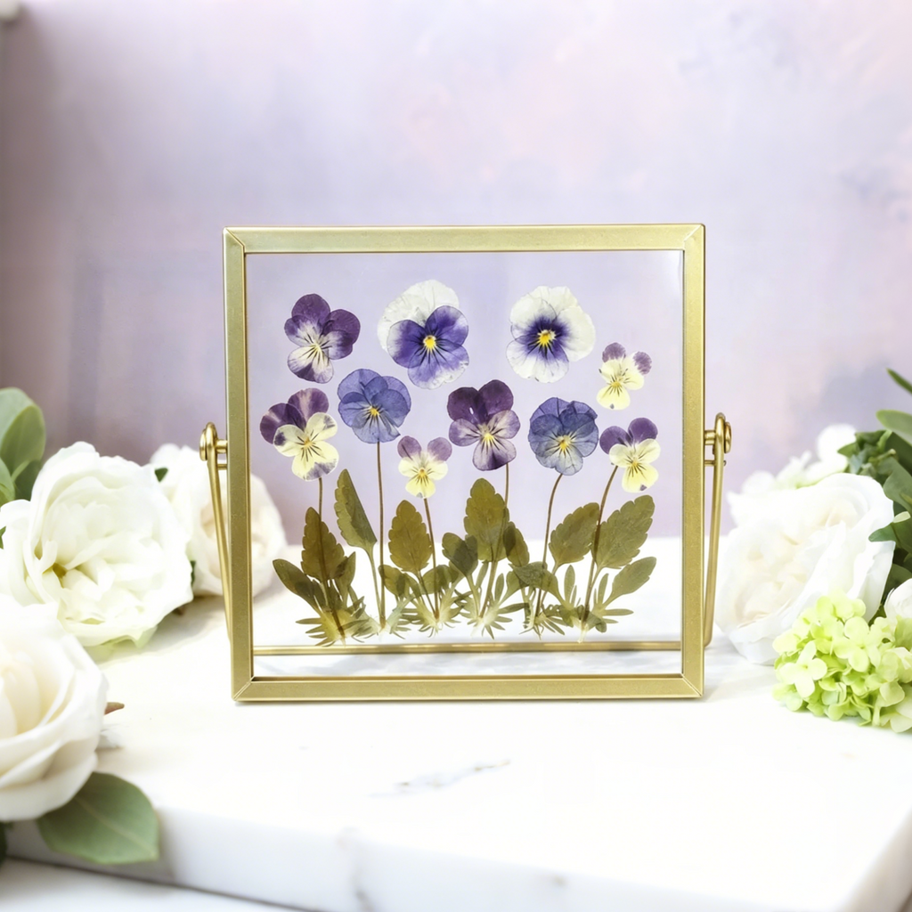 Violetter Blumenrahmen aus Acryl, gepresste getrocknete echte Kosmosblumen, Doppelglas Herbarium Rahmen, 15x15 cm, Goldrahmen, Wohnkultur