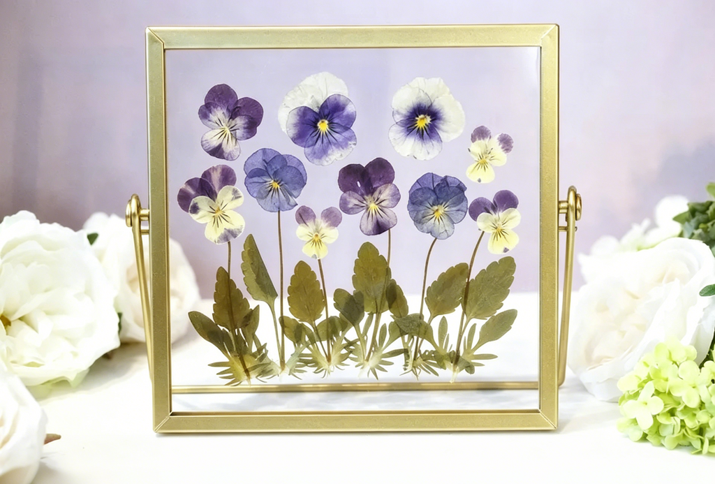 Violetter Blumenrahmen aus Acryl, gepresste getrocknete echte Kosmosblumen, Doppelglas Herbarium Rahmen, 15x15 cm, Goldrahmen, Wohnkultur