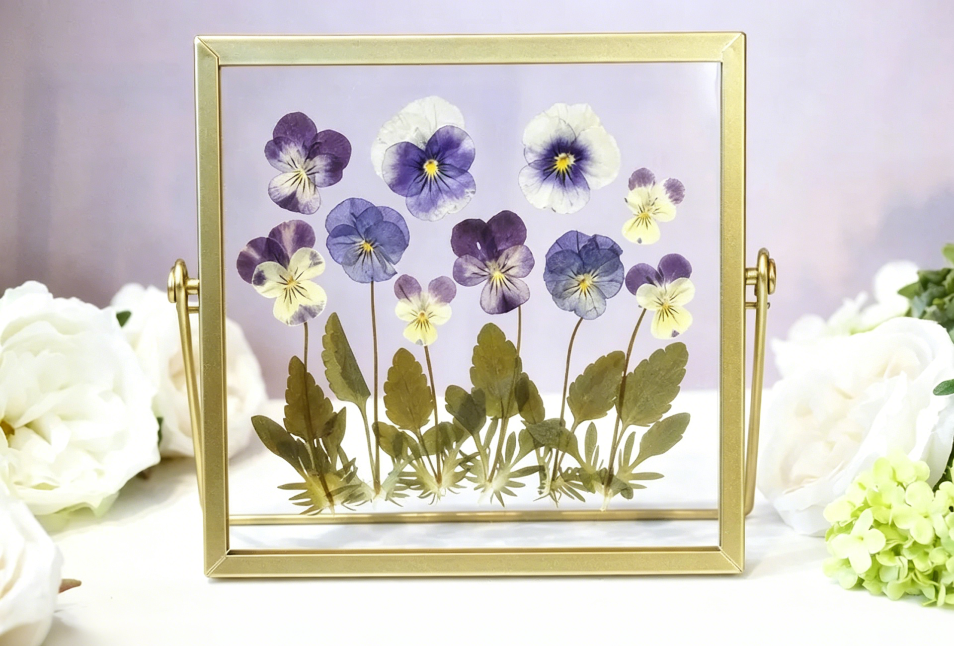 Violetter Blumenrahmen aus Acryl, gepresste getrocknete echte Kosmosblumen, Doppelglas Herbarium Rahmen, 15x15 cm, Goldrahmen, Wohnkultur