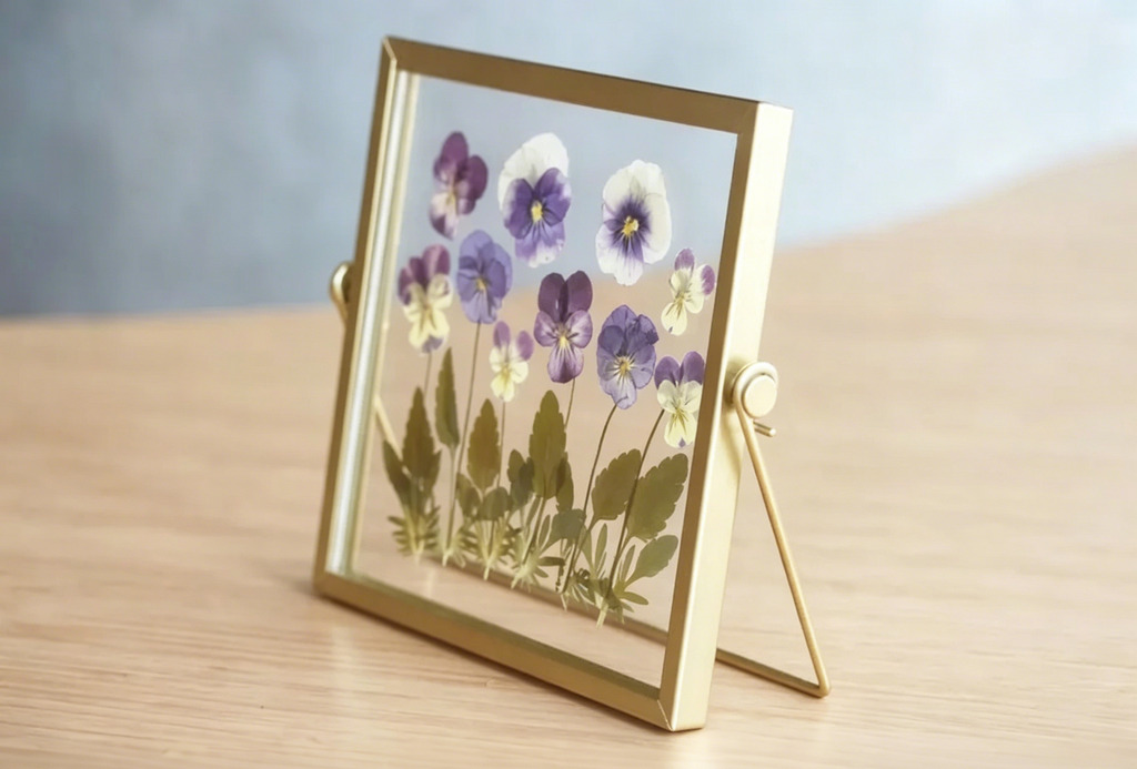 Violetter Blumenrahmen aus Acryl, gepresste getrocknete echte Kosmosblumen, Doppelglas Herbarium Rahmen, 15x15 cm, Goldrahmen, Wohnkultur
