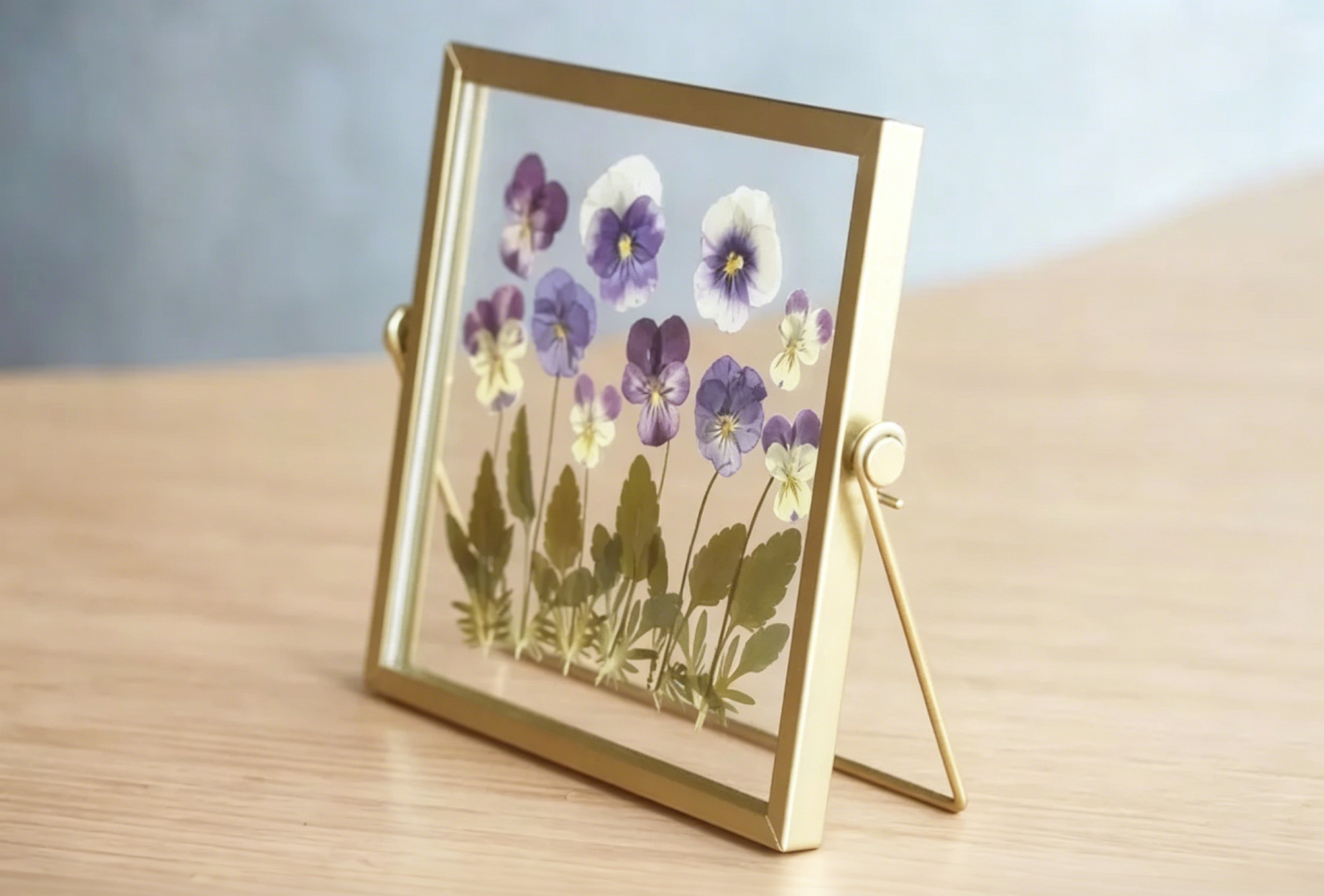 Violetter Blumenrahmen aus Acryl, gepresste getrocknete echte Kosmosblumen, Doppelglas Herbarium Rahmen, 15x15 cm, Goldrahmen, Wohnkultur