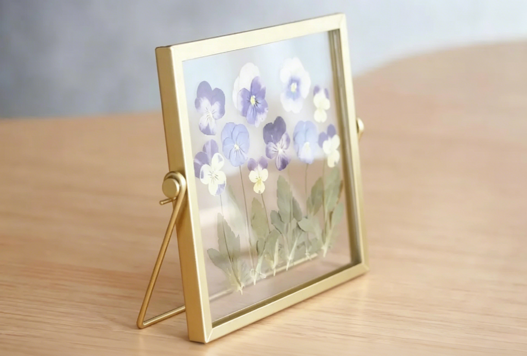 Violetter Blumenrahmen aus Acryl, gepresste getrocknete echte Kosmosblumen, Doppelglas Herbarium Rahmen, 15x15 cm, Goldrahmen, Wohnkultur