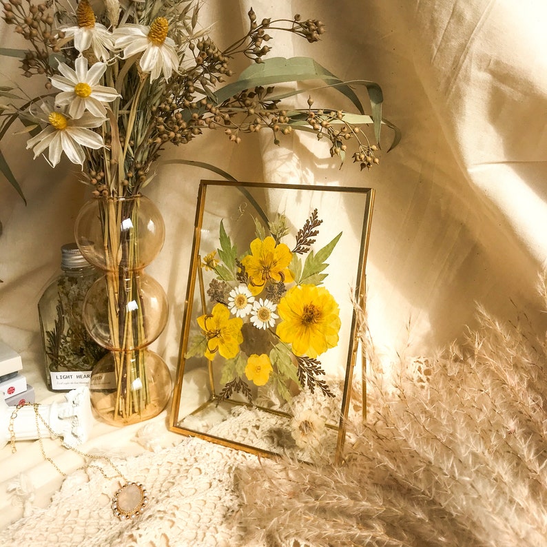 Gepresster Blumenrahmen aus Messing und Glas, botanische Wanddekoration, Blumenkunst im Vintage-Stil, 17,5 x 12,7 cm