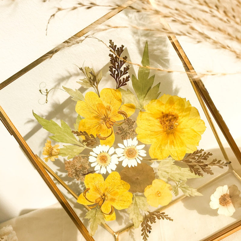 Gepresster Blumenrahmen aus Messing und Glas, botanische Wanddekoration, Blumenkunst im Vintage-Stil, 17,5 x 12,7 cm