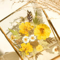 Gepresster Blumenrahmen aus Messing und Glas, botanische Wanddekoration, Blumenkunst im Vintage-Stil, 17,5 x 12,7 cm