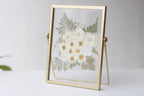 Gepresster Blumenrahmen, Gold, 20,5 x 15,5 cm, Schwimmender Bilderrahmen mit Echten Getrockneten Blumen