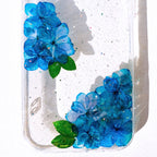Gepresste Blume Handyhülle für iPhone SE 8 11 12 13 14 15 16 Pro Max, Samsung S22-S25 FE A52, Google Pixel 7-9 Pro