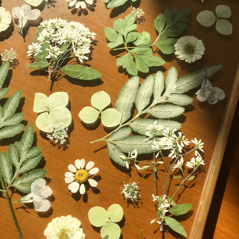 Getrockneter gepresster Blumenrahmen, hängender Goldwandbehang, Blumenstrauß, Weihnachtsgeschenk, Geschenk für sie, Geschenk für Mama, Blumengesteck
