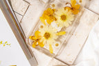 Gepresste Blume Handyhülle iPhone 16-11 Pro Max XR 8 SE, Samsung S23-S24 Ultra