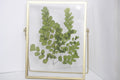 Gepresster Blumenrahmen mit Frauenhaarfarn, Acryl-Herbarium-Deko, Gold, 22,5 x 17,5 cm