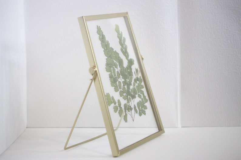 Gepresster Blumenrahmen mit Frauenhaarfarn, Acryl-Herbarium-Deko, Gold, 22,5 x 17,5 cm