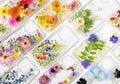 Handyhülle mit echten gepressten Blumen für iPhone 17, 16, 15, 14, 13, 12, 11 Pro Max, X, Samsung Galaxy S23, S24, S25 Ultra, Google Pixel 8, 9, 10 Pro