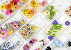 Gepresste Blumen Handyhülle iPhone 17 16 15 14 13 12 11 X Samsung S23-S25 Pixel 8-10