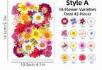 Getrocknete Blumen Set Natürliche Botanische Presse DIY Bastelbedarf