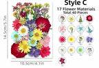 Getrocknete Blumen Set Natürliche Botanische Presse DIY Bastelbedarf