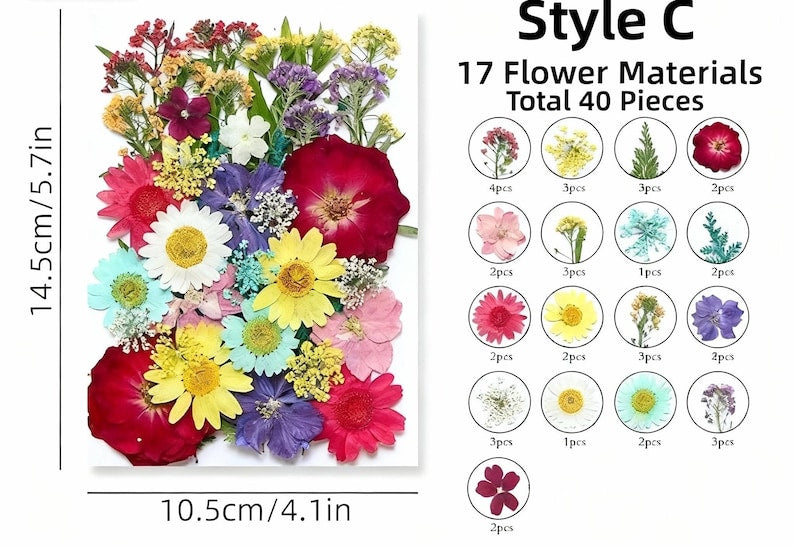 Getrocknete Blumen Set Natürliche Botanische Presse DIY Bastelbedarf