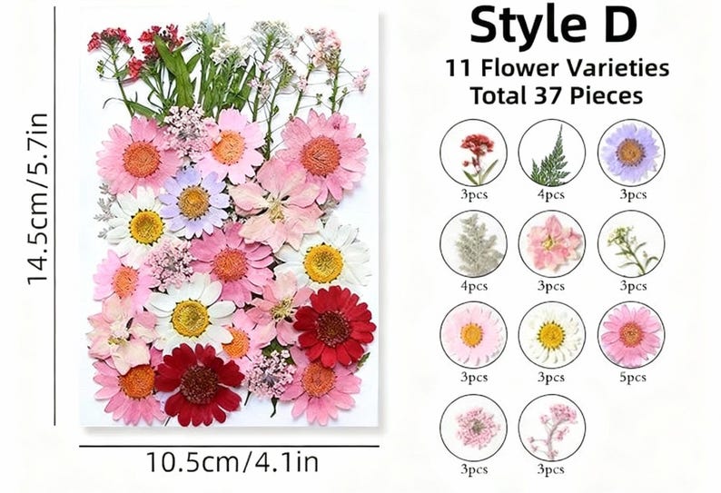 Getrocknete Blumen Set Natürliche Botanische Presse DIY Bastelbedarf