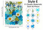 Getrocknete Blumen Set Natürliche Botanische Presse DIY Bastelbedarf
