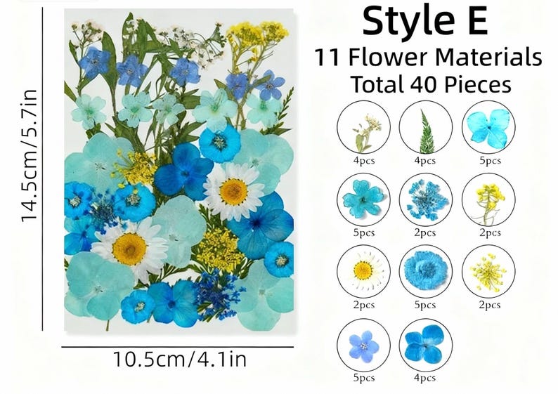 Getrocknete Blumen Set Natürliche Botanische Presse DIY Bastelbedarf