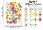 Getrocknete Blumen Set Natürliche Botanische Presse DIY Bastelbedarf