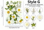 Getrocknete Blumen Set Natürliche Botanische Presse DIY Bastelbedarf