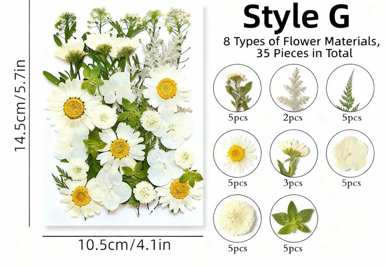 Getrocknete Blumen Set Natürliche Botanische Presse DIY Bastelbedarf