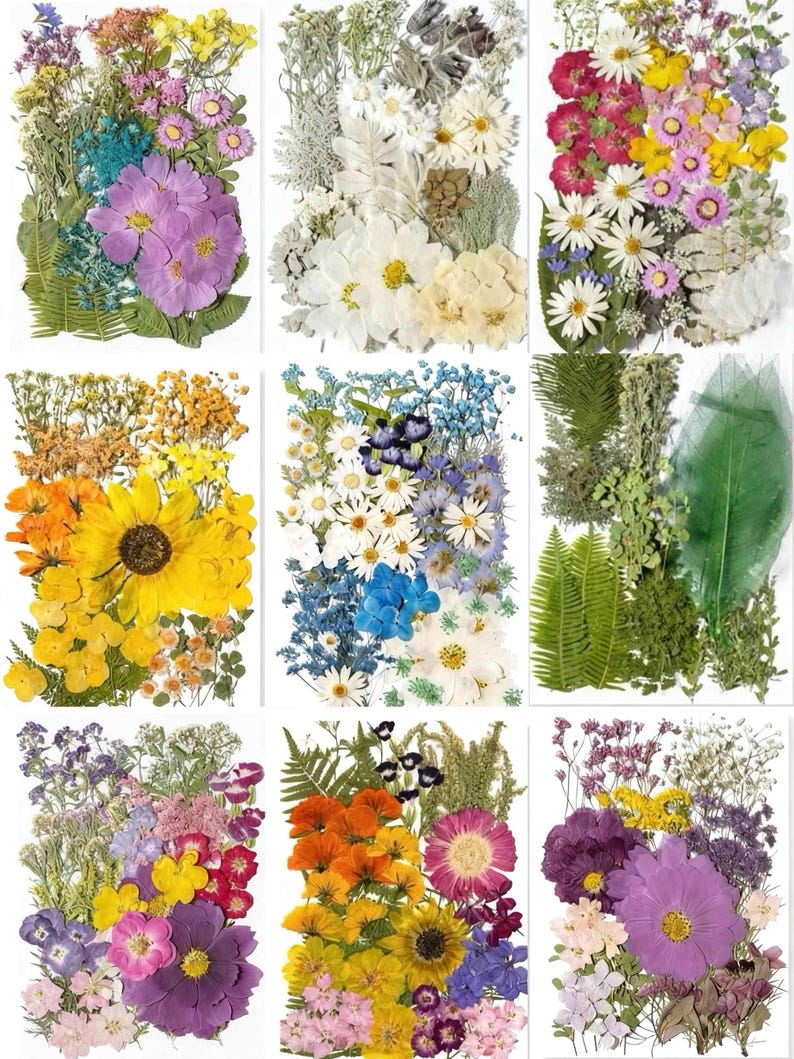 Gepresste Blumen Set 75-100 Stück Botanische Mischung für DIY Bastelbedarf
