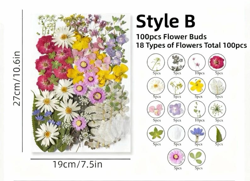Gepresste Blumen Set 75-100 Stück Botanische Mischung für DIY Bastelbedarf