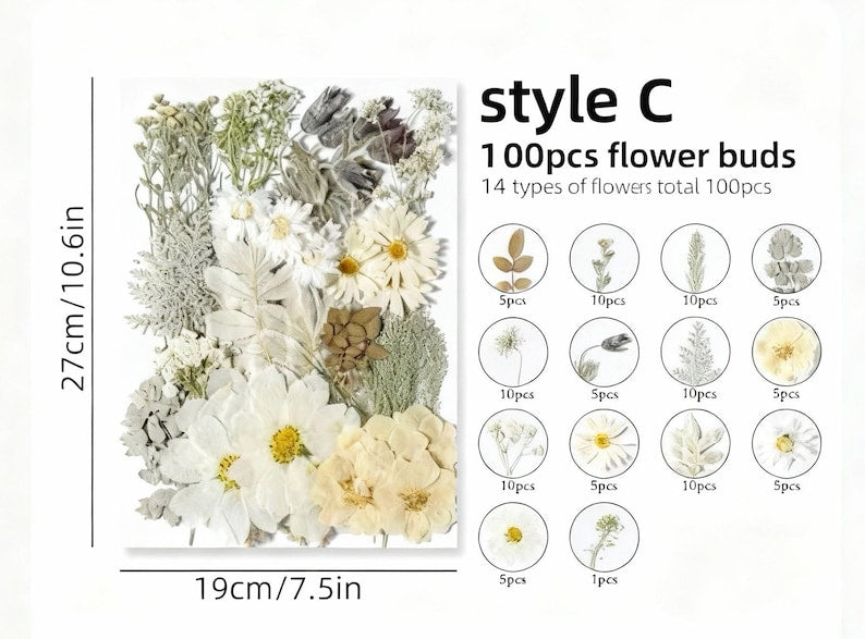 Gepresste Blumen Set 75-100 Stück Botanische Mischung für DIY Bastelbedarf