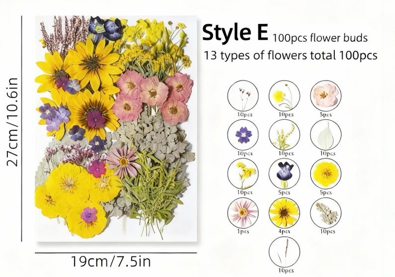 Gepresste Blumen Set 75-100 Stück Botanische Mischung für DIY Bastelbedarf