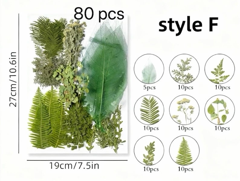 Gepresste Blumen Set 75-100 Stück Botanische Mischung für DIY Bastelbedarf