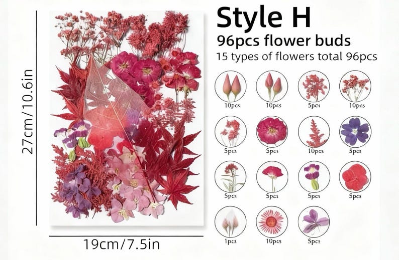Gepresste Blumen Set 75-100 Stück Botanische Mischung für DIY Bastelbedarf