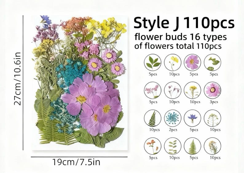 Gepresste Blumen Set 75-100 Stück Botanische Mischung für DIY Bastelbedarf