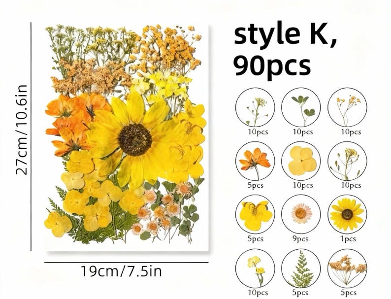 Gepresste Blumen Set 75-100 Stück Botanische Mischung für DIY Bastelbedarf