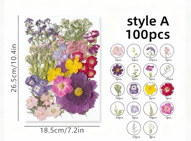 Gepresste Blumen Set 75-100 Stück Botanische Mischung für DIY Bastelbedarf