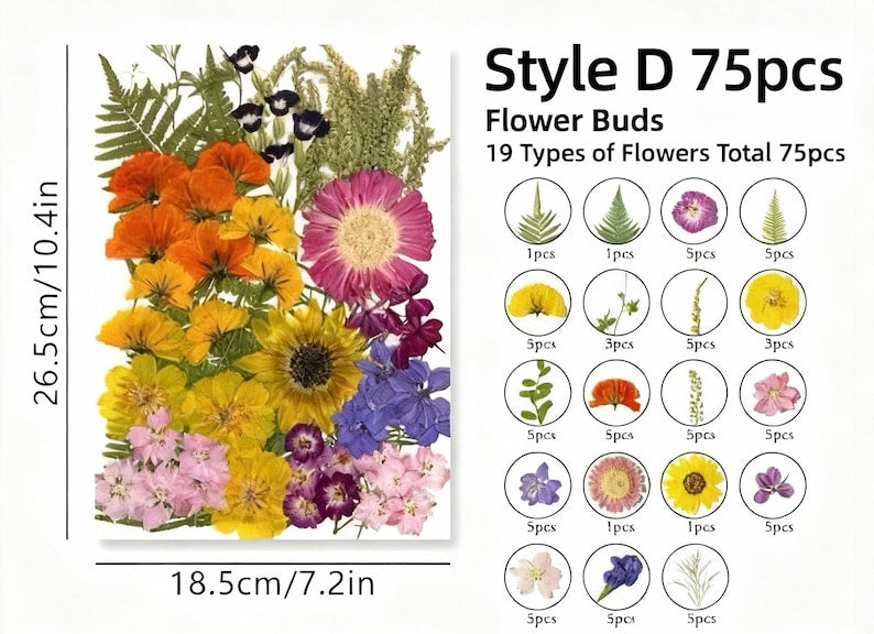 Gepresste Blumen Set 75-100 Stück Botanische Mischung für DIY Bastelbedarf