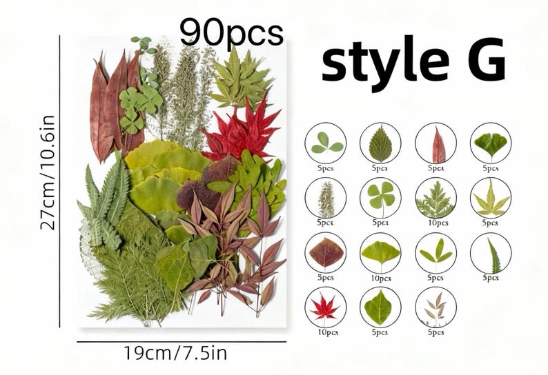 Gepresste Blumen Set 75-100 Stück Botanische Mischung für DIY Bastelbedarf