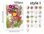 Gepresste Blumen Set 75-100 Stück Botanische Mischung für DIY Bastelbedarf