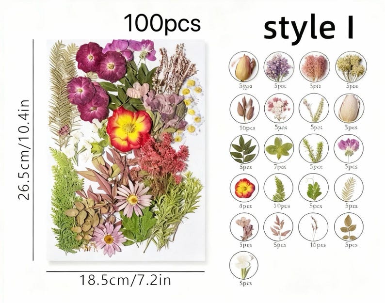 Gepresste Blumen Set 75-100 Stück Botanische Mischung für DIY Bastelbedarf