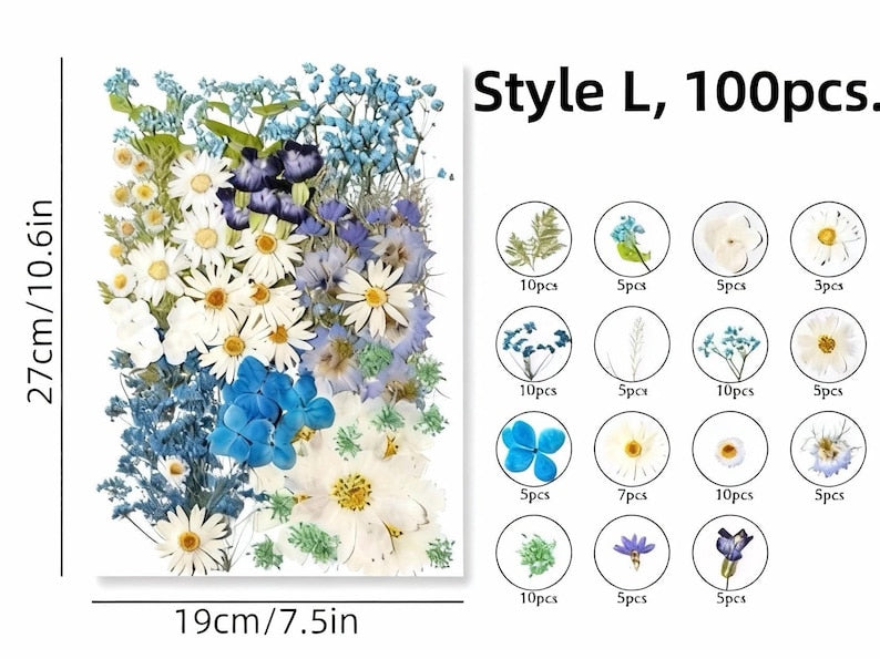 Gepresste Blumen Set 75-100 Stück Botanische Mischung für DIY Bastelbedarf