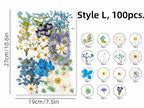 Gepresste Blumen Set 75-100 Stück Botanische Mischung für DIY Bastelbedarf