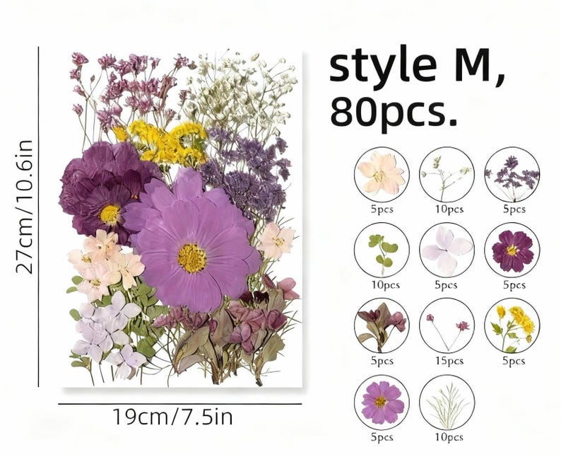Gepresste Blumen Set 75-100 Stück Botanische Mischung für DIY Bastelbedarf