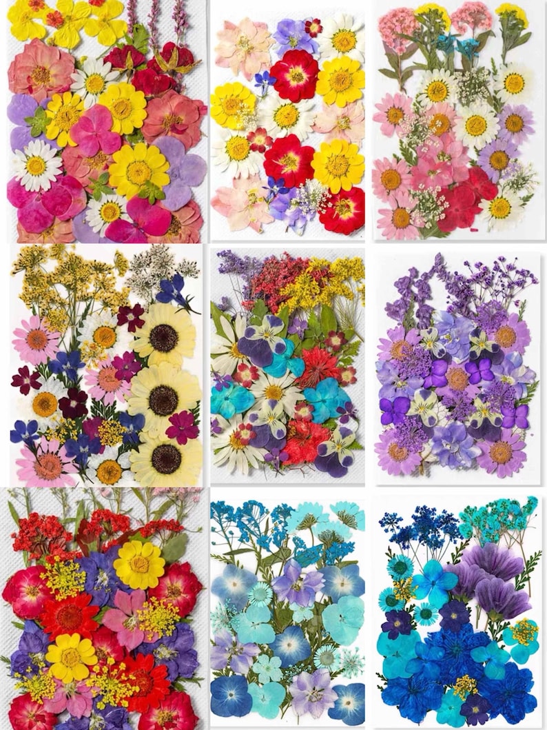 Gepresste Blumen Set, Natürliche Bastelbedarf, Resin, Karten, DIY