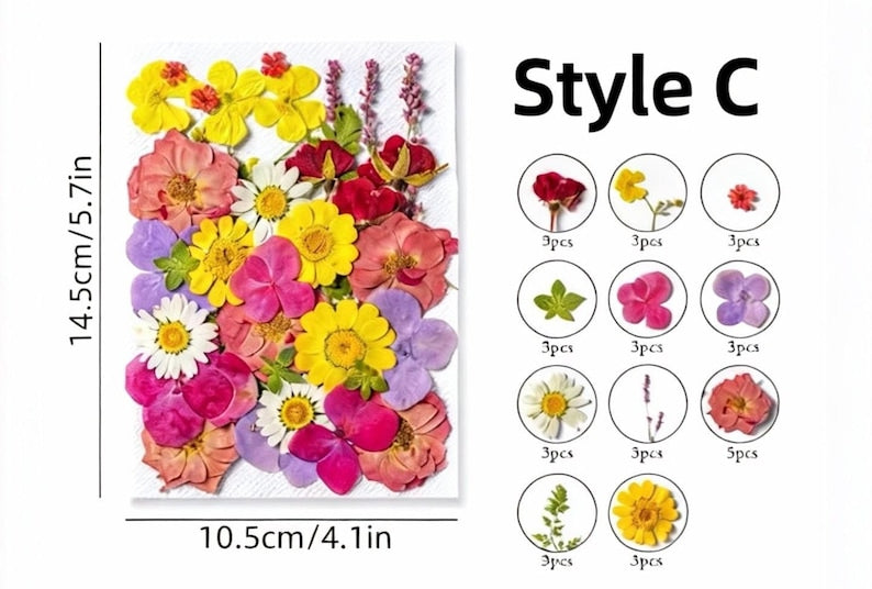 Gepresste Blumen Set, Natürliche Bastelbedarf, Resin, Karten, DIY