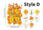 Gepresste Blumen Set, Natürliche Bastelbedarf, Resin, Karten, DIY