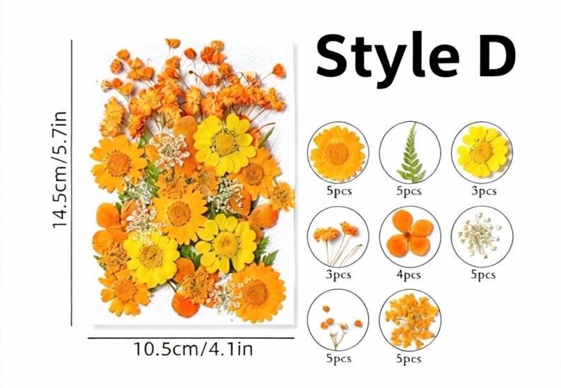 Gepresste Blumen Set, Natürliche Bastelbedarf, Resin, Karten, DIY