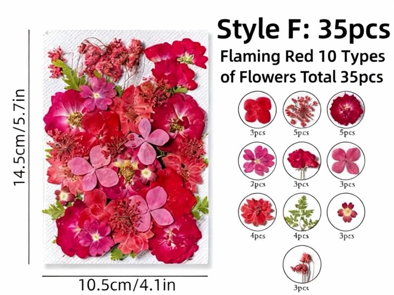 Gepresste Blumen Set, Natürliche Bastelbedarf, Resin, Karten, DIY