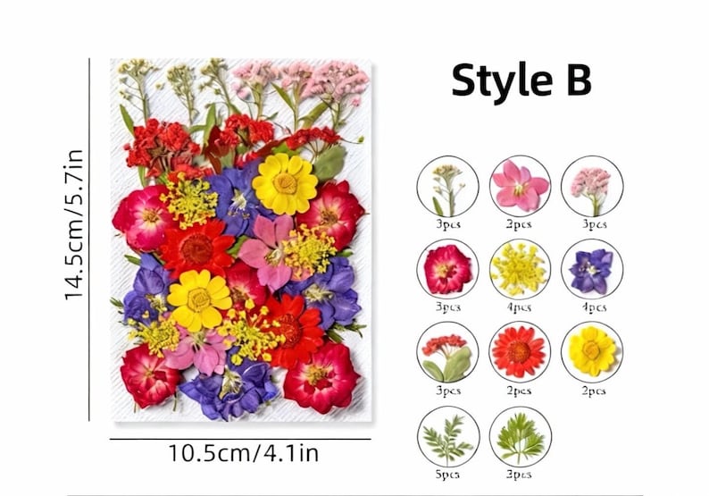 Gepresste Blumen Set, Natürliche Bastelbedarf, Resin, Karten, DIY