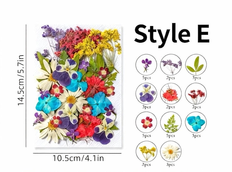 Gepresste Blumen Set, Natürliche Bastelbedarf, Resin, Karten, DIY