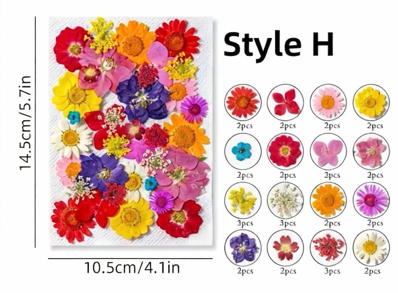 Gepresste Blumen Set, Natürliche Bastelbedarf, Resin, Karten, DIY